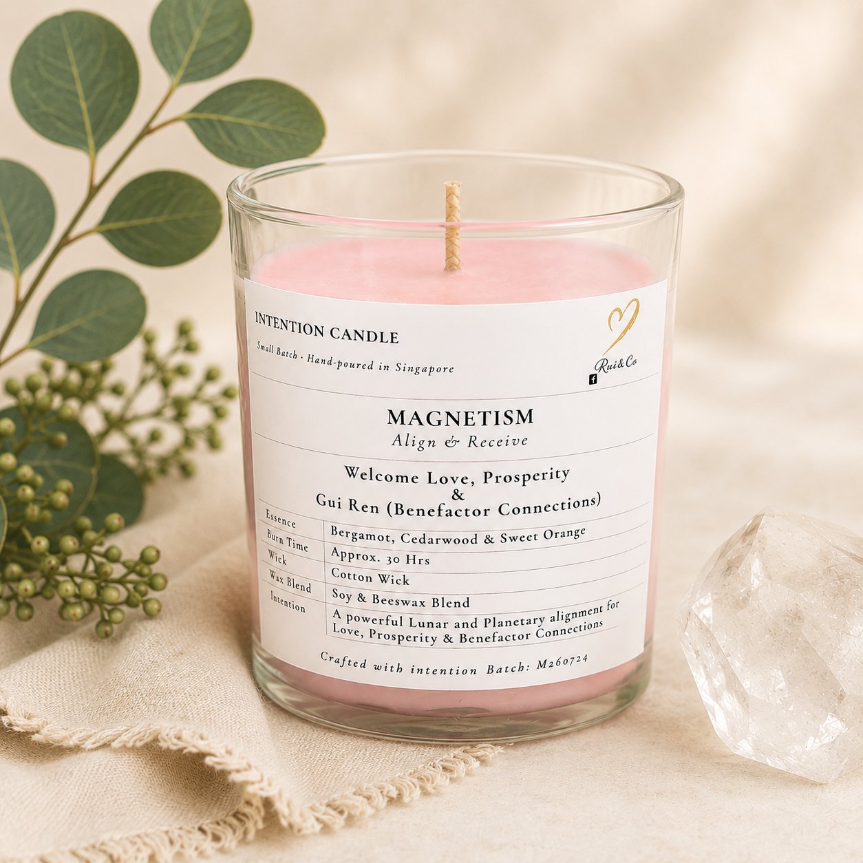 Rui & Co — Magnetism: Align & Receive